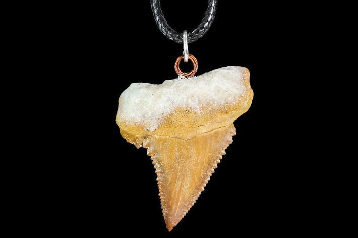 Fossil Shark (Palaeocarcharodon) Tooth Necklace -Morocco #110030